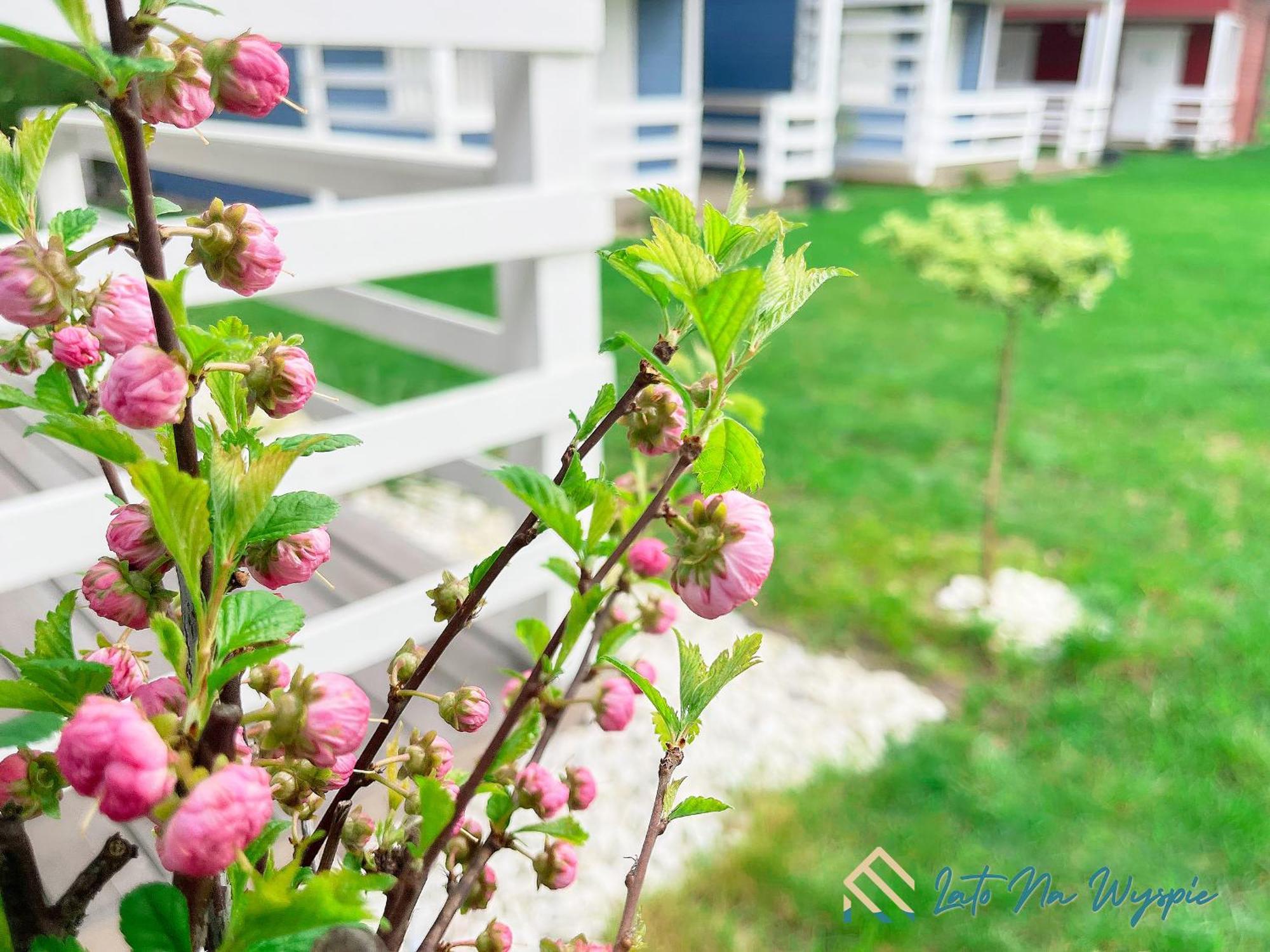 Lato Na Wyspie Villa Gdansk Ngoại thất bức ảnh